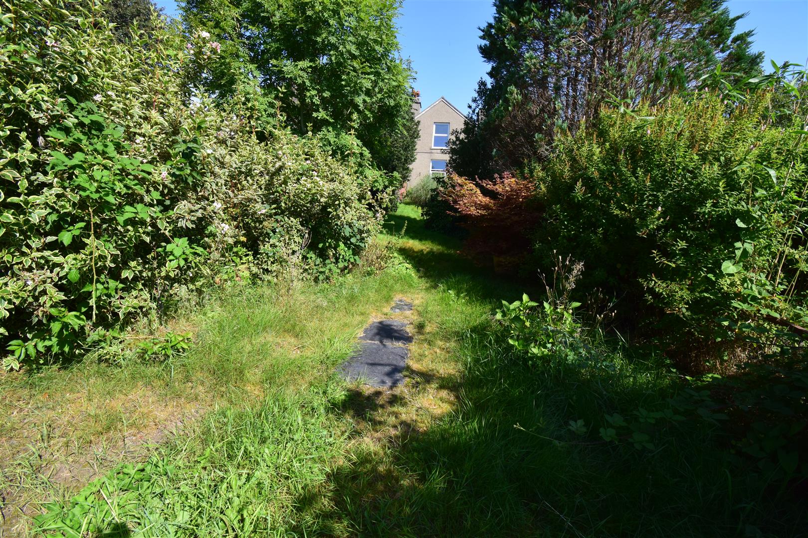 DSC_1134.JPG